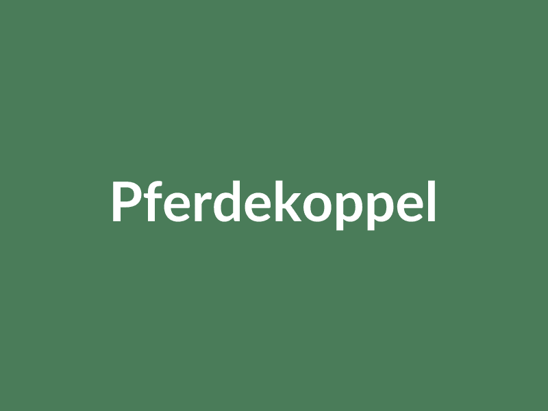 Pferde auf der Koppel